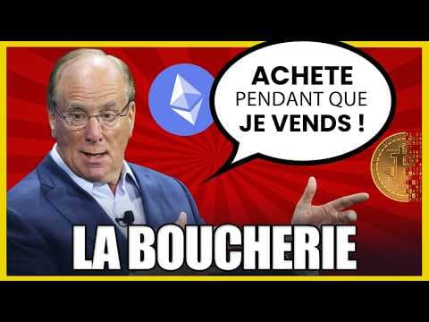 ALTCOINS: La GRANDE PURGE a Commencé – Votre Coin Préféré est-il sur la Liste Noire ?