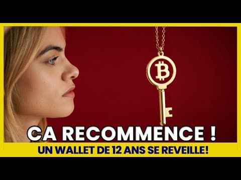 ALERTE CRYPTO: Un Portefeuille Bitcoin Oublié depuis 12 Ans Vide 53 MILLIONS ! Hack ?